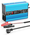 NOEIFEVO 36.5V 2A 3A 3.5A 4A LiFePO4 Batterijoplader voor 10S 32V LiFePO4 Batterij, automatische uitschakeling (BLAUW)