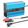 NOEIFEVO 58.4V 5A LiFePO4 מטען סוללה עבור 51.2V 16S סוללה כיבוי אוטומטי אופנוע קטנוע חשמלי עם מאוורר קירור