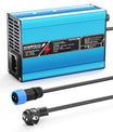 NOEIFEVO 16.8V 10A Lithium-lader voor 4S 14.8V Li-Ion Lipo-batterijen, koelventilator, automatische uitschakeling (BLAUW)