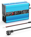 NOEIFEVO 43,8V 6A LiFePO4 Batterieladegerät für 38,4 V 12S LiFePO4-Batterie, automatische Abschaltung, Aluminiumgehäuse, E-Bike-Roller, Elektromotorrad