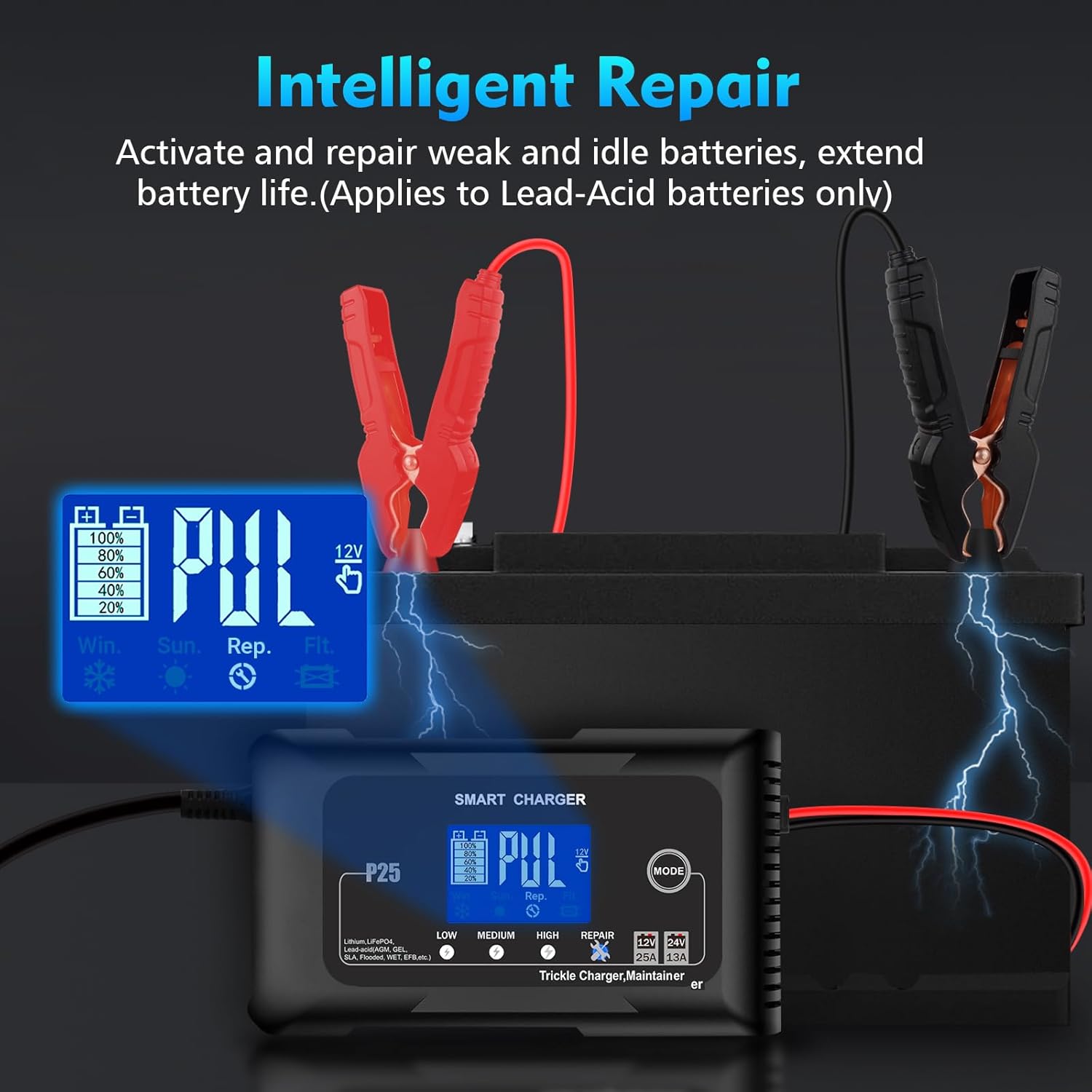 NOEIFEVO 25A Auto Batterijoplader, 12V 25A / 24V 13A Onderhoudslader voor Auto, Motor, Grasmaaier, Boot, Lithium, LiFePO4 en Loodzuur (AGM, GEL, MF, EFB, SLA, VRLA)