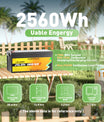 NOEIFEVO F2410 25.6V 100AH litiumjernfosfatbatteri LiFePO4-batteri med 100A BMS